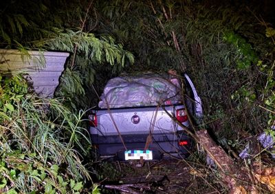 Durante chuva, em uma curva, a picape saiu da pista e invadiu uma &aacute;rea de mata, &agrave;s margens da rodovia