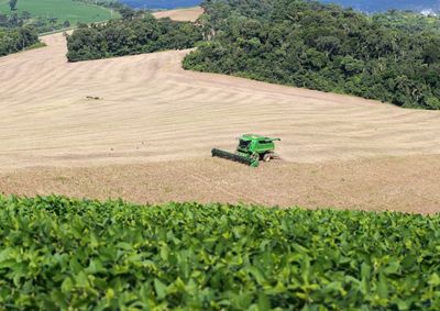 Dados levantados pelo Deral mostram que o VBP saltou de R$ 98 bilh&otilde;es em 2019 para R$ 212,6 bilh&otilde;es em 2025