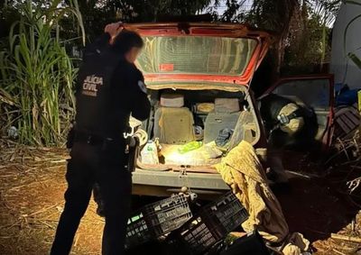 Opera&ccedil;&atilde;o integrada reuniu Pol&iacute;cia Civil, PM, ROTAM, BPFRON e BPRV para combater o tr&aacute;fico e organiza&ccedil;&otilde;es criminosas em Palotina