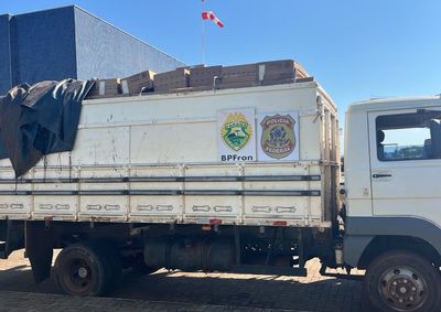 Motorista fugiu por cerca de 10 quil&ocirc;metros, abandonou o ve&iacute;culo em uma planta&ccedil;&atilde;o de milho e conseguiu escapar