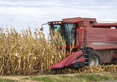 Acompanhe os valores dos principais gr&atilde;os cultivados no Oeste do Paran&aacute;
