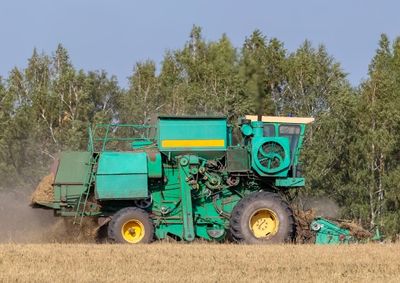 Fique por dentro das oscila&ccedil;&otilde;es de pre&ccedil;os dos principais gr&atilde;os cultivados na regi&atilde;o