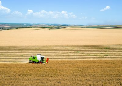 Veja os pre&ccedil;os do milho, da soja e do trigo para esta ter&ccedil;a-feira (07), e fique por dentro das oscila&ccedil;&otilde;es nos valores do mercado rural