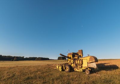 Acompanhe os valores da soja, do milho e do trigo, principais gr&atilde;os cultivados no Oeste do Paran&aacute;