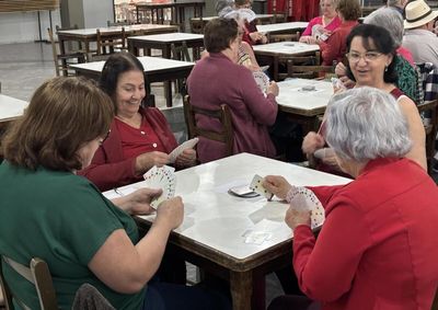 Evento teve mais de 250 partidas nas duas fases, celebrando o Dia dos Av&oacute;s, comemorado no dia 26 de julho