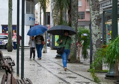 Influ&ecirc;ncia do El Ni&ntilde;o deve aumentar o volume de chuva em todas as regi&otilde;es do Paran&aacute; e tornar os amanheceres menos frios