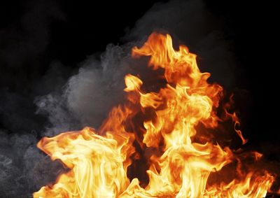 Sete su&iacute;nos e dois bezerros morreram no inc&ecirc;ndio; per&iacute;cia foi acionada para investigar as causas do fogo