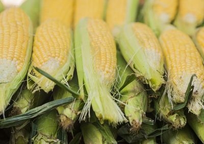 Acompanhe os pre&ccedil;os dos principais gr&atilde;os cultivados no Oeste do paran&aacute;, al&eacute;m do leite, do boi gordo e do d&oacute;lar