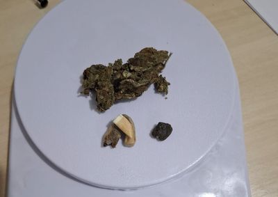 Condutor foi abordado durante opera&ccedil;&atilde;o da Pol&iacute;cia Rodovi&aacute;ria, recebeu multa por dirigir ap&oacute;s consumir &aacute;lcool e responder&aacute; por porte de drogas para consumo