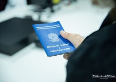 Oportunidades abrangem setores como ind&uacute;stria, com&eacute;rcio, servi&ccedil;os, constru&ccedil;&atilde;o civil e agroneg&oacute;cio, al&eacute;m de vagas exclusivas para PCDs e aprendizes