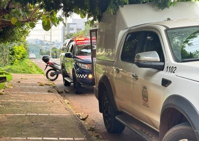 Respons&aacute;vel pelos c&atilde;es relatou n&atilde;o saber como eles escaparam e mencionou a possibilidade de o port&atilde;o ter ficado entreaberto
