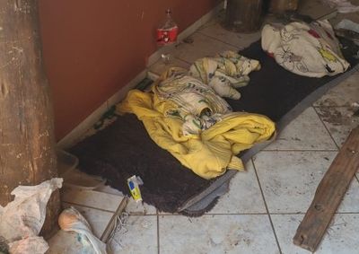 Guarda Municipal foi acionada para realizar patrulhamento no local, onde uma equipe de limpeza iniciaria os trabalhos