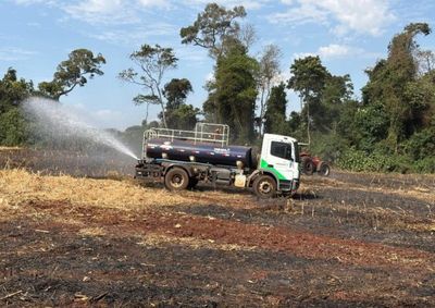 Fogo atingiu &aacute;rea que j&aacute; tinha sido colhida; vento teria contribu&iacute;do para alastrar as chamas, que chegaram at&eacute; uma mata