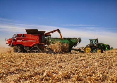 Confira os valores do milho, da soja e do trigo e acompanhe as oscila&ccedil;&otilde;es dos principais produtos do agroneg&oacute;cio