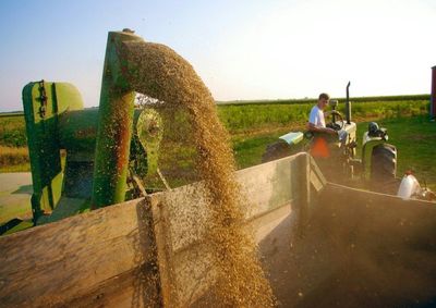 Confira o pre&ccedil;o do milho, da soja e do trigo nesta segunda-feira (24)
