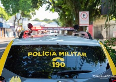 utora procurou a Pol&iacute;cia Militar ap&oacute;s o animal apresentar sintomas de intoxica&ccedil;&atilde;o e morrer poucos minutos depois