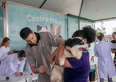 A&ccedil;&atilde;o realizada no Parque Ecol&oacute;gico Diva Paim Barth teve apoio de universidades e deve ser ampliada para os distritos do munic&iacute;pio