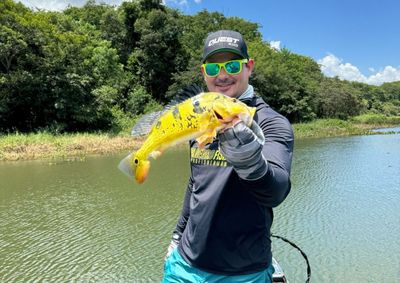 De acordo com os membros da Confederação Brasileira de Pesca Esportiva, a expectativa é que o evento aconteça em novembro