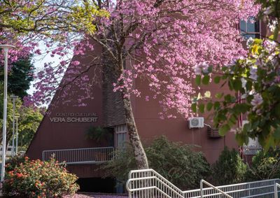 As apresentações da Escola de Samba Unidos da Vila Tiradentes acontecem até o dia 19 em Umuarama, no hall da Fundação Cultural