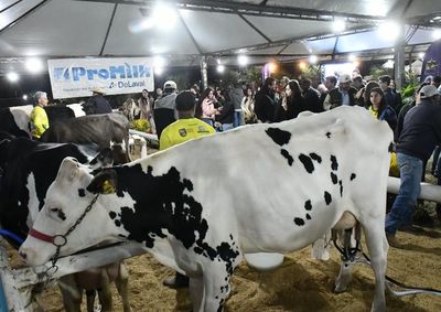 Com entrada gratuita, evento promovido pela Sociedade Rural reuniu torneio leiteiro, julgamentos de ra&ccedil;as e cerca de 20 expositores
