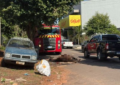 Animal foi conduzido por propriet&aacute;rios at&eacute; ve&iacute;culo de transporte quando caiu em valeta e sofreu fraturas nas patas dianteiras