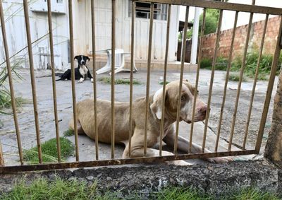 Pessoas n&atilde;o autorizadas t&ecirc;m realizado supostas fiscaliza&ccedil;&otilde;es e cobran&ccedil;a por resgates e  outros servi&ccedil;os, em nome da Prefeitura