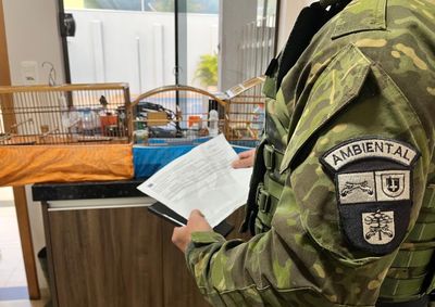 Ap&oacute;s fiscalizar dezenas de locais, agentes apreenderam 11 aves e aplicaram 8 multas, totalizando mais de R$ 70 mil