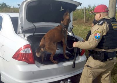 Opera&ccedil;&atilde;o tamb&eacute;m flagrou situa&ccedil;&otilde;es perigosas, como condu&ccedil;&atilde;o sem CNH e ultrapassagens pelo acostamento