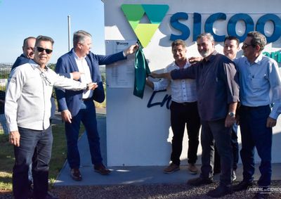 Complexo fotovoltaico gerar&aacute; energia limpa para abastecer as estruturas da cooperativa, com previs&atilde;o de quitar o investimento em at&eacute; quatro anos