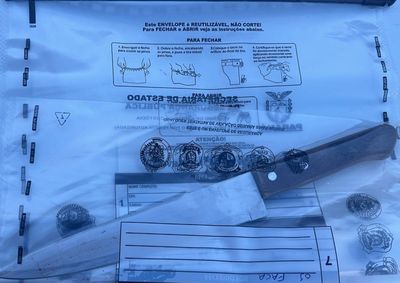 Embora existam evid&ecirc;ncias de diversas agress&otilde;es anteriores &agrave; m&atilde;e da garota, as ocorr&ecirc;ncias n&atilde;o foram notificadas formalmente &agrave; pol&iacute;cia