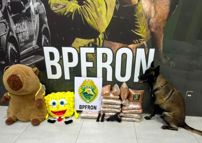 As drogas estavam escondidas dentro de dois bichos de pel&uacute;cia no bagageiro do ve&iacute;culo. Ao todo, o preju&iacute;zo estimado ao crime organizado &eacute; de R$ 344.600,00