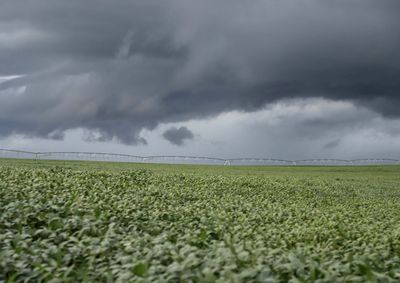 Volume de precipita&ccedil;&otilde;es acima da m&eacute;dia reidrata o solo no Noroeste, favorecendo a agricultura familiar e o avan&ccedil;o da safra de milho e trigo