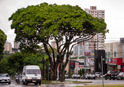 Interrup&ccedil;&atilde;o no fornecimento afeta mais de mil consumidores nas avenidas Paran&aacute;, Brasil e Presidente Castelo Branco