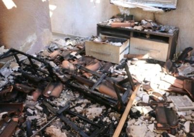 Registros da 7&ordf; SDP mostram destrui&ccedil;&atilde;o do im&oacute;vel e gal&atilde;o de combust&iacute;vel; homem cometeu o crime e agrediu filhote antes de atear fogo