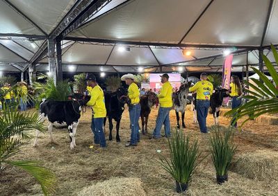 O resultado inclui 10 t&iacute;tulos de campe&atilde;o, 12 segundos lugares e oito terceiros, evidenciando o alto n&iacute;vel gen&eacute;tico dos rebanhos locais