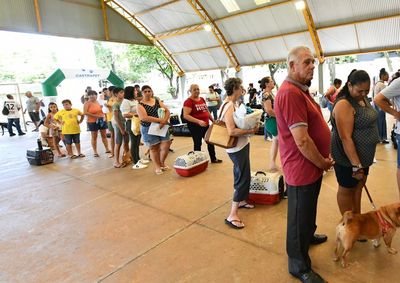 Cadastro de pets come&ccedil;a segunda-feira (24); procedimentos ocorrem no dia 21 de setembro no Col&eacute;gio Souza Naves.