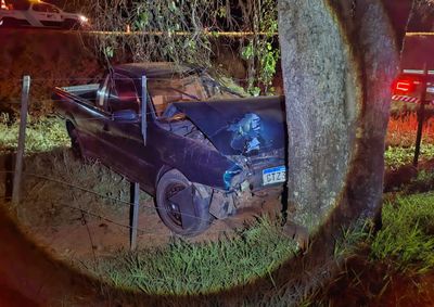Conforme os dados levantados no local, o ve&iacute;culo trafegava no sentido de Ipor&atilde; a Francisco Alves quando ocorreu a sa&iacute;da de pista