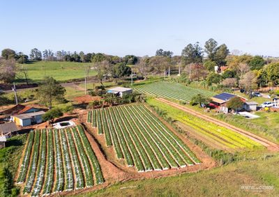 Entrega do imposto sobre propriedades do campo segue at&eacute; o dia 30 de setembro, com novas regras da Receita Federal