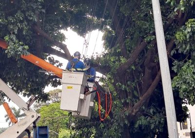 A a&ccedil;&atilde;o integra as medidas de prepara&ccedil;&atilde;o para os impactos do fen&ocirc;meno El Ni&ntilde;o e segue at&eacute; o dia 19