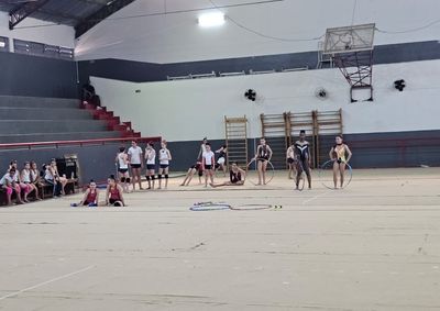 A modalidade, exclusivamente feminina, &eacute; considerada de dif&iacute;cil aprendizagem e exige que as atletas iniciem os treinamentos ainda crian&ccedil;as