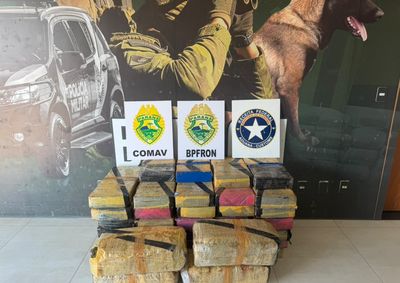 Motorista abandonou o ve&iacute;culo em uma estrada rural e fugiu para uma &aacute;rea de mata; droga foi encaminhada &agrave; Pol&iacute;cia Civil de Umuarama