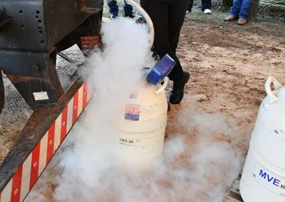 Prefeitura e Cooplu passam a centralizar a distribui&ccedil;&atilde;o de nitrog&ecirc;nio e outros insumos, al&eacute;m de ampliar a assist&ecirc;ncia t&eacute;cnica aos produtores