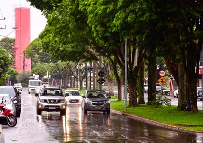 &Oacute;rg&atilde;o emite aviso de tempestades para o fim de semana; temporal de quinta-feira derrubou &aacute;rvores e interditou trechos da PR-323