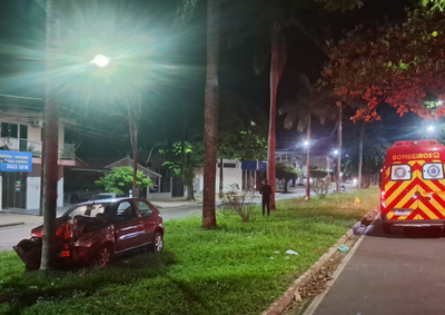 O ve&iacute;culo invadiu o canteiro central, atingiu uma placa de sinaliza&ccedil;&atilde;o vi&aacute;ria e, na sequ&ecirc;ncia, bateu contra uma &aacute;rvore