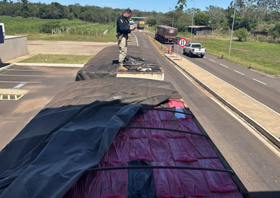 Motorista tentou fingir que transportava milho em gr&atilde;os, mas acabou confessando a carga il&iacute;cita em abordagem na BR-487