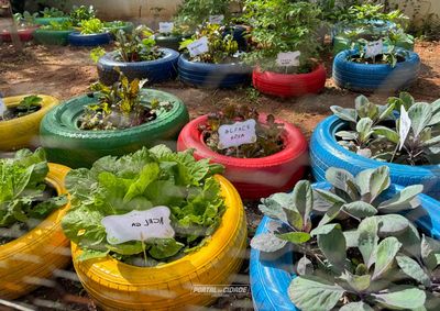 Evento com fam&iacute;lias e comunidade mostra horta, jardim e oficinas desenvolvidas com 268 alunos, com apoio da UEM