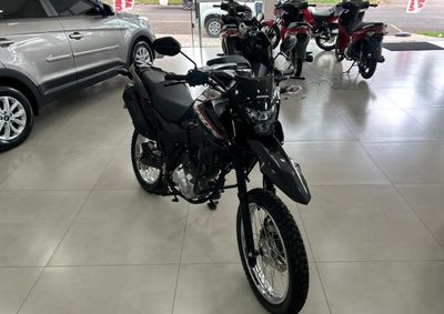 HONDA NXR