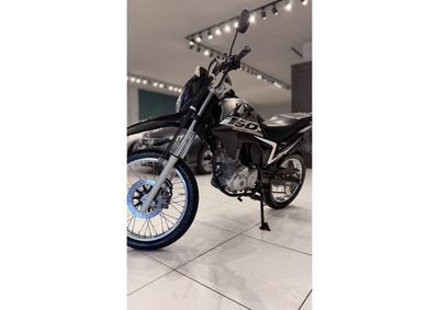 HONDA NXR