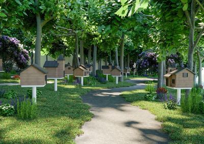 Projeto in&eacute;dito do Instituto Gr&uuml;nenwald vai transformar monumentos hist&oacute;ricos em colmeias e fortalecer o turismo em Porto Uni&atilde;o e Uni&atilde;o da Vit&oacute;ria