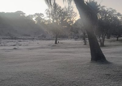 Em Uni&atilde;o da Vit&oacute;ria a m&iacute;nima foi de -1&ordm; durante a madrugada 